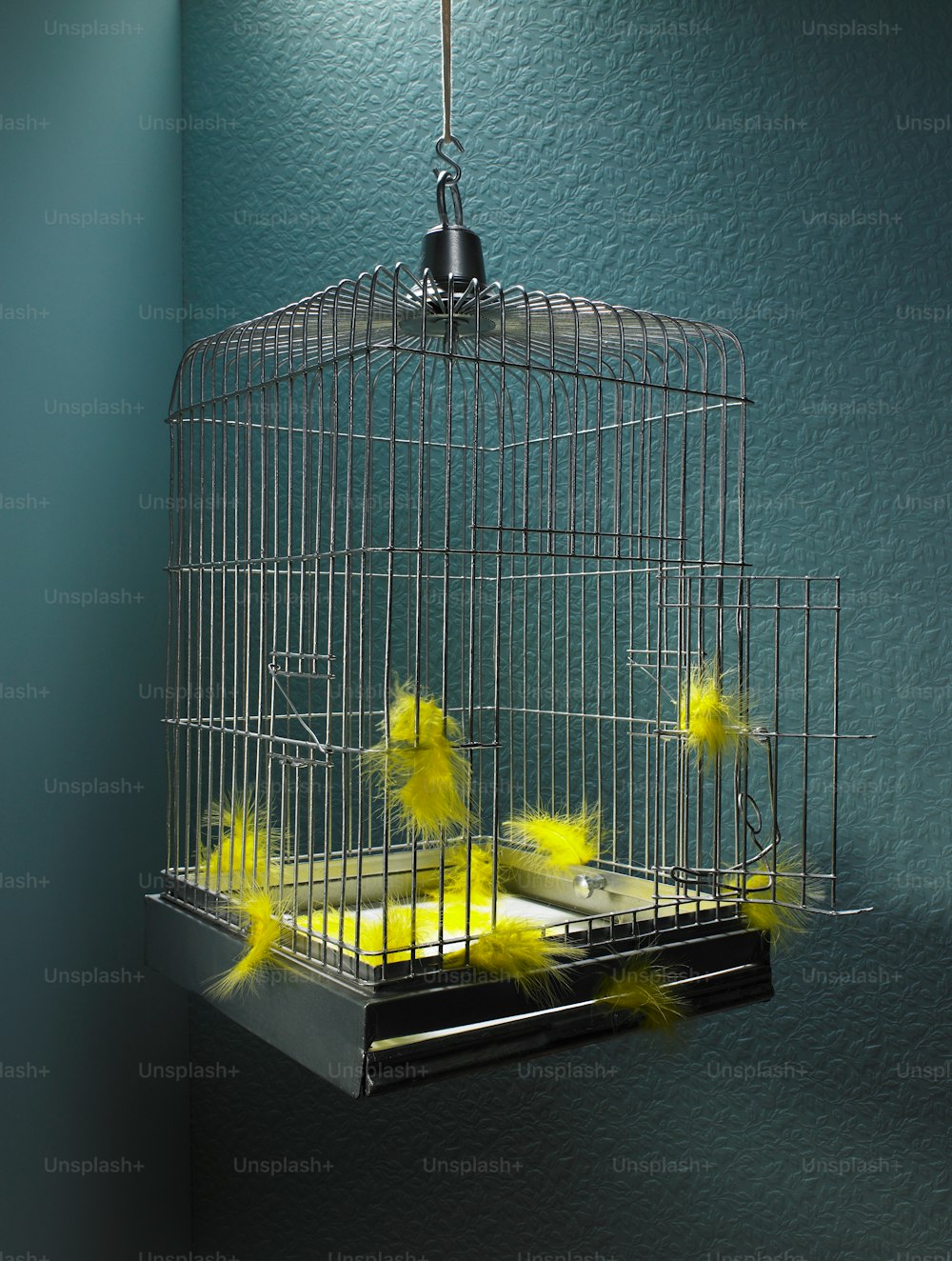 a bird in a cage with yellow feathers