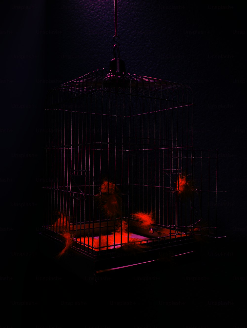 a bird in a cage with yellow feathers
