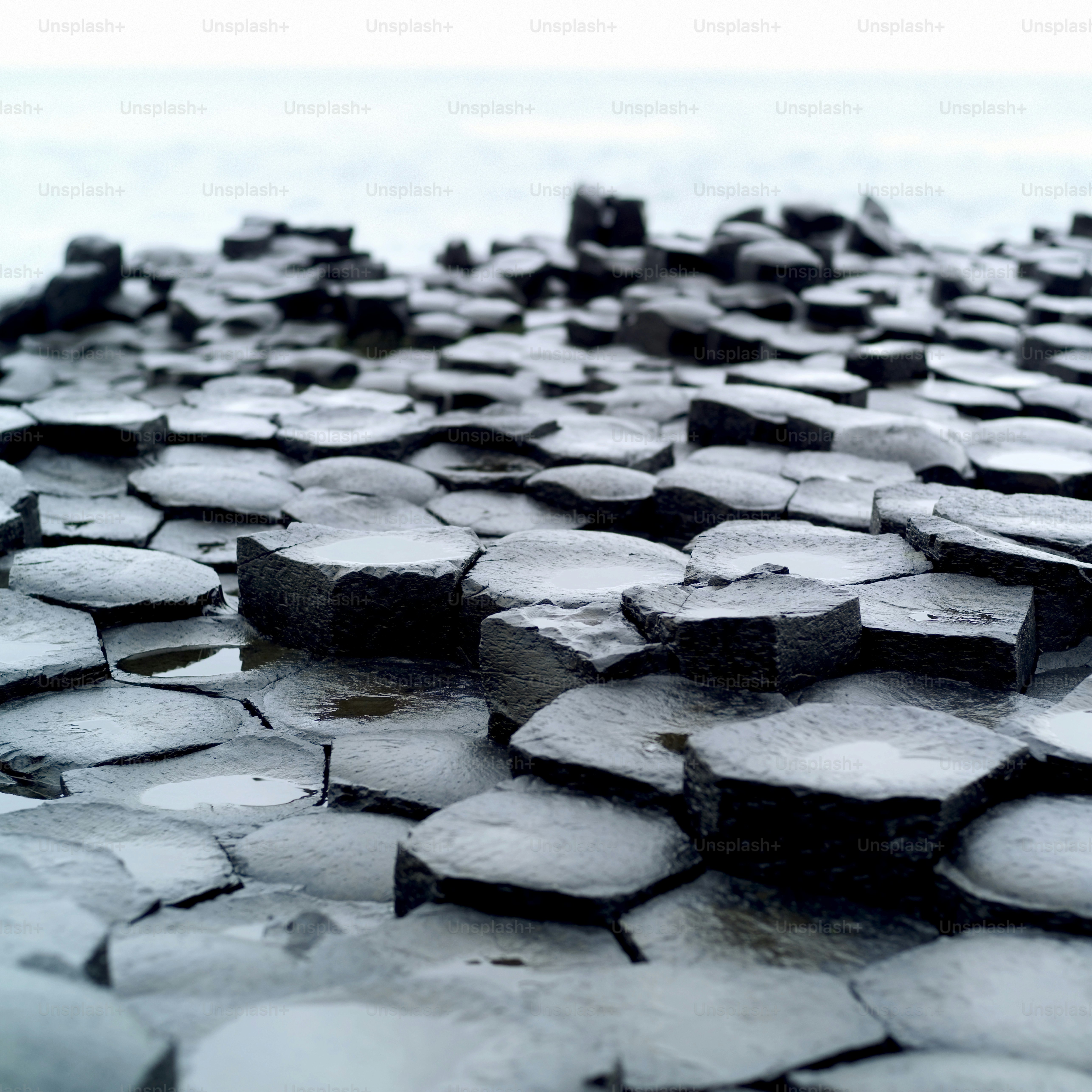 a close up of a bunch of rocks near the water