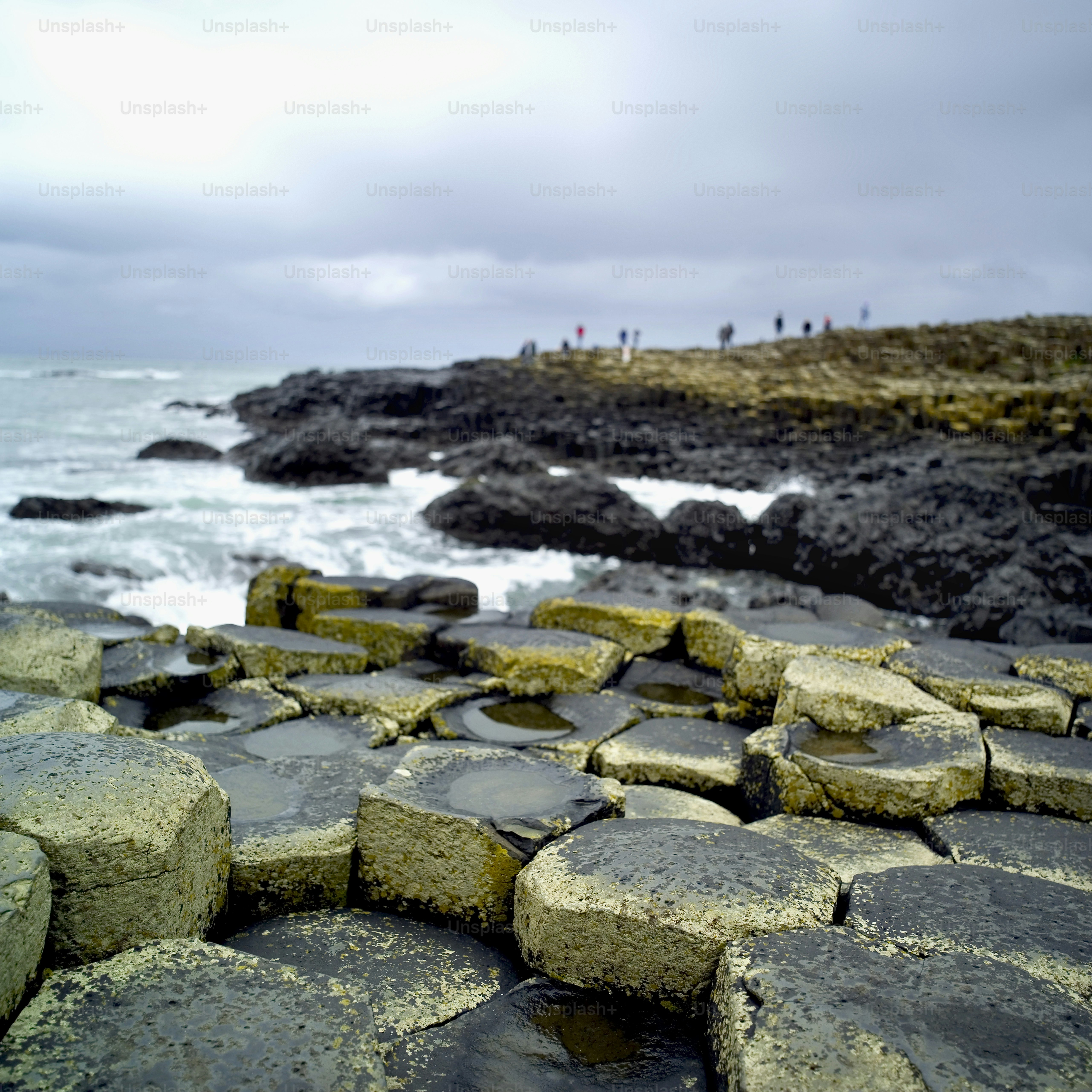 a group of people standing on top of a rocky beach