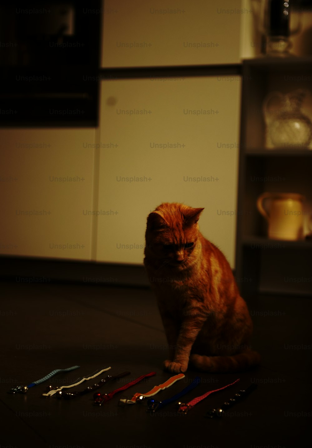 a cat sitting on the floor next to a bunch of keys