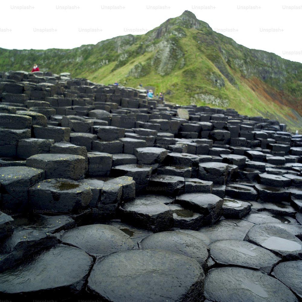 a large group of rocks sitting on top of a lush green hillside