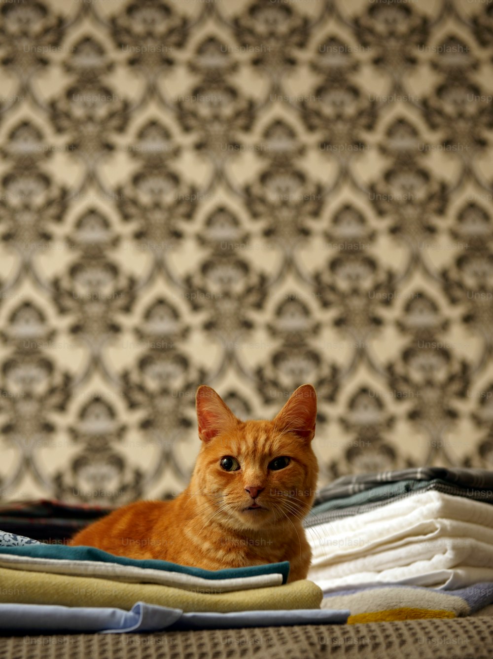an orange cat laying on top of a pile of folded clothes