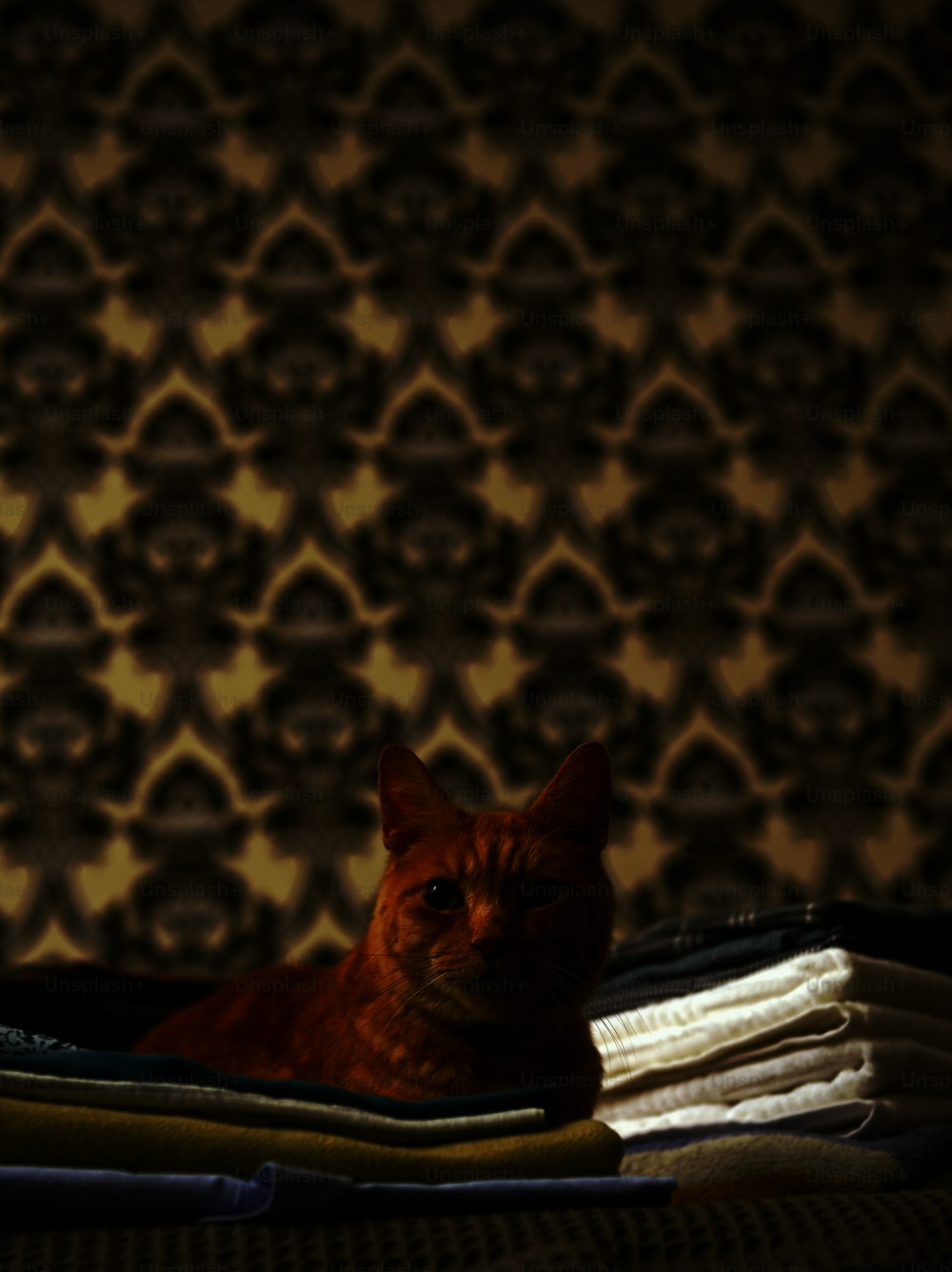 an orange cat laying on top of a pile of folded clothes