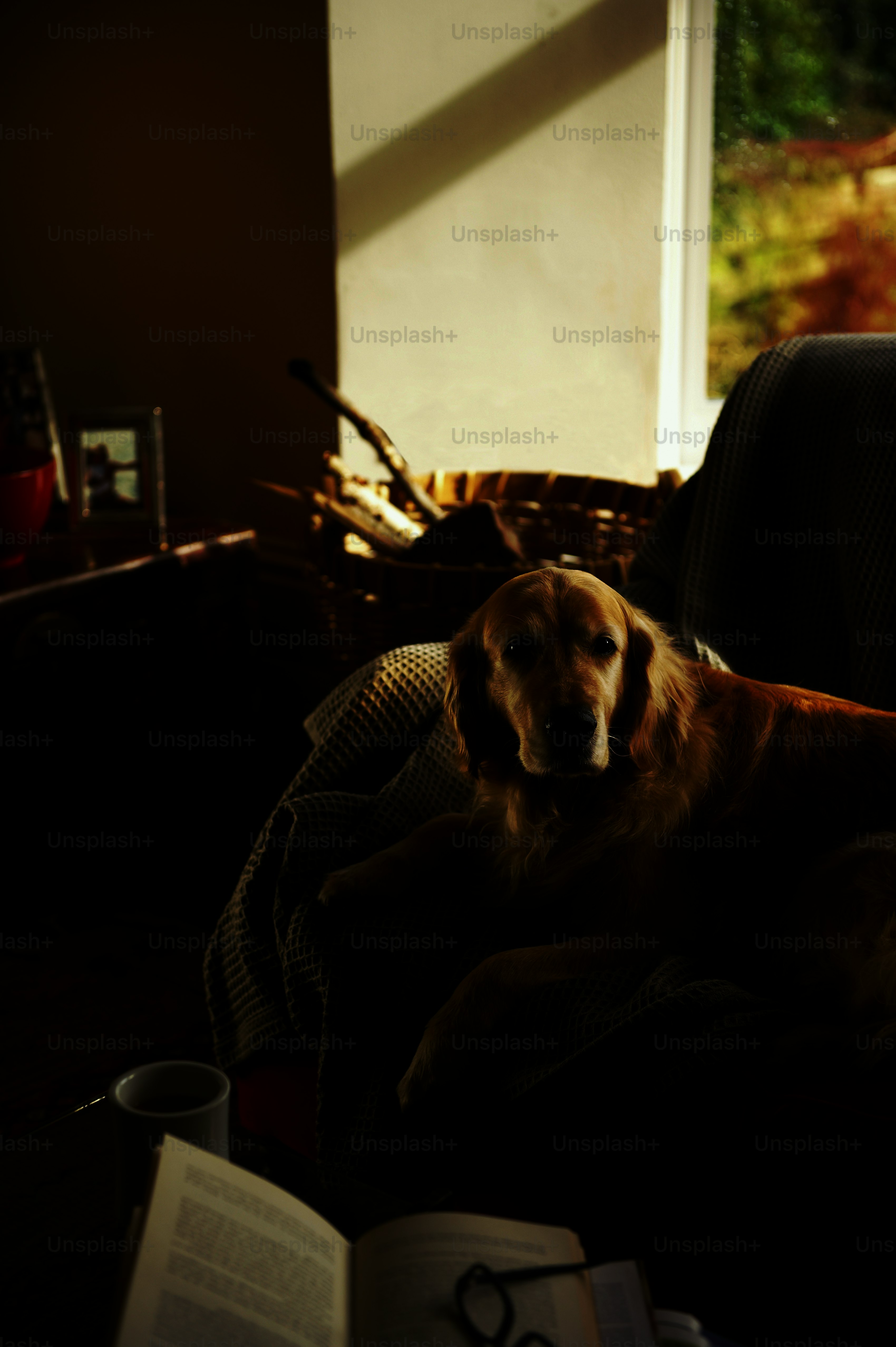 Empreendedores Coléricos estão sempre cansaditos | by Priscilla du Preez (Unsplash)