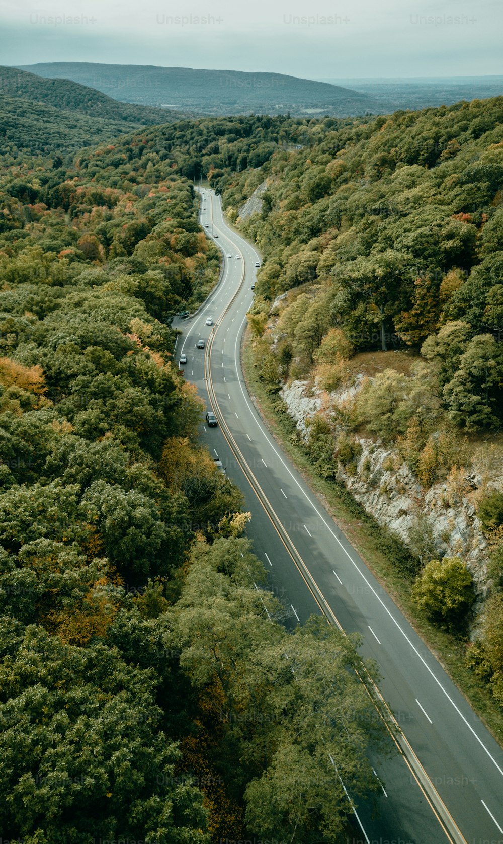 an aerial view of a road surrounded by trees