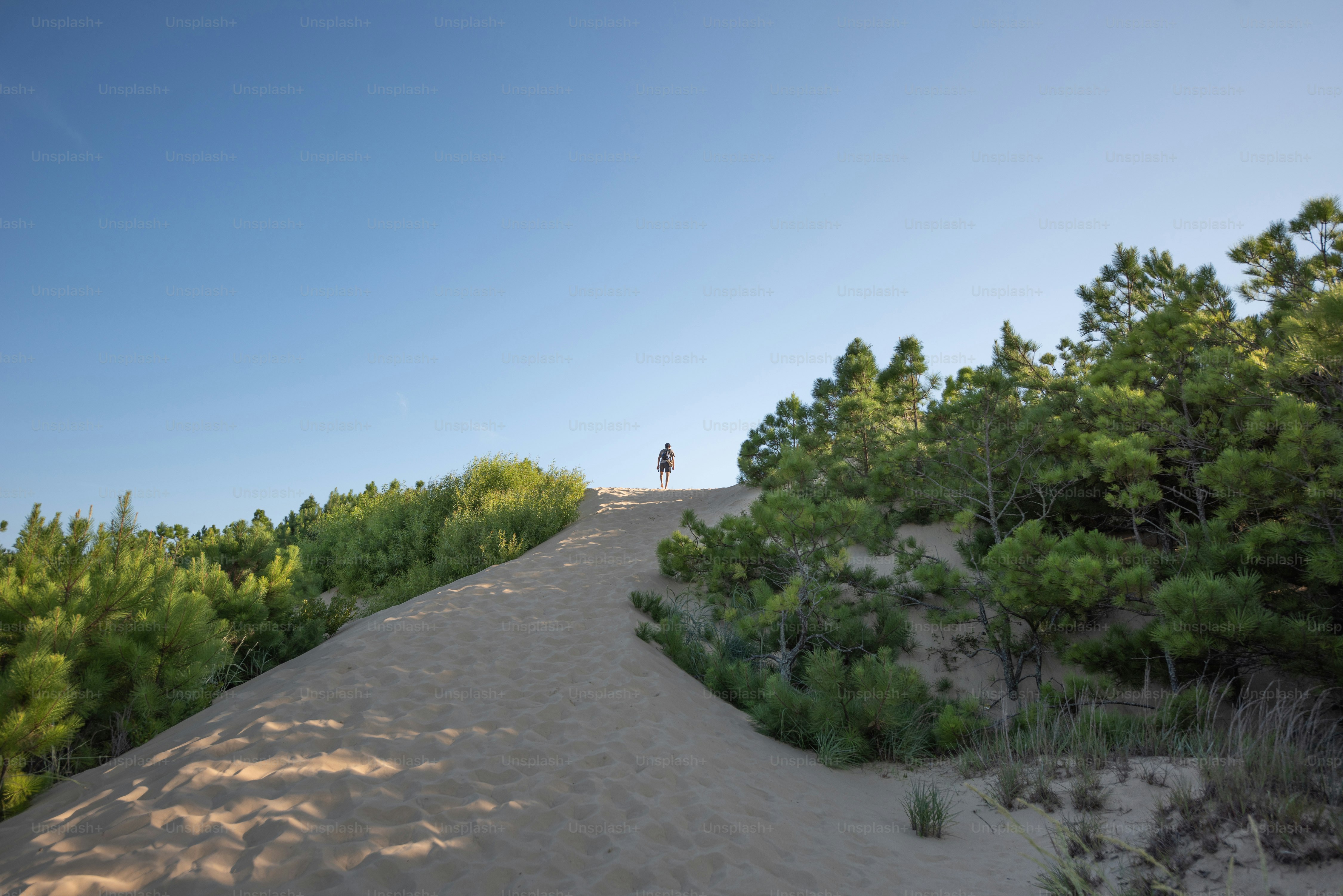 a person standing on top of a sandy hill