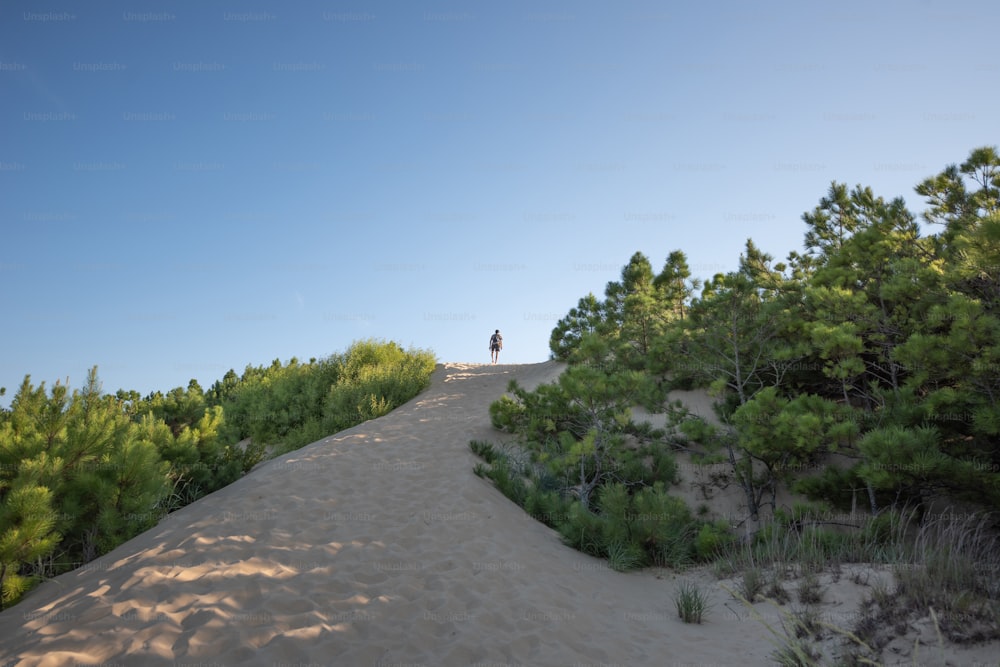 une personne debout au sommet d’une colline de sable