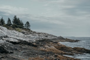 a rocky shore with trees on the top of it