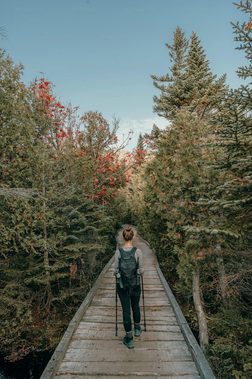 Una mujer caminando por un puente en el bosque