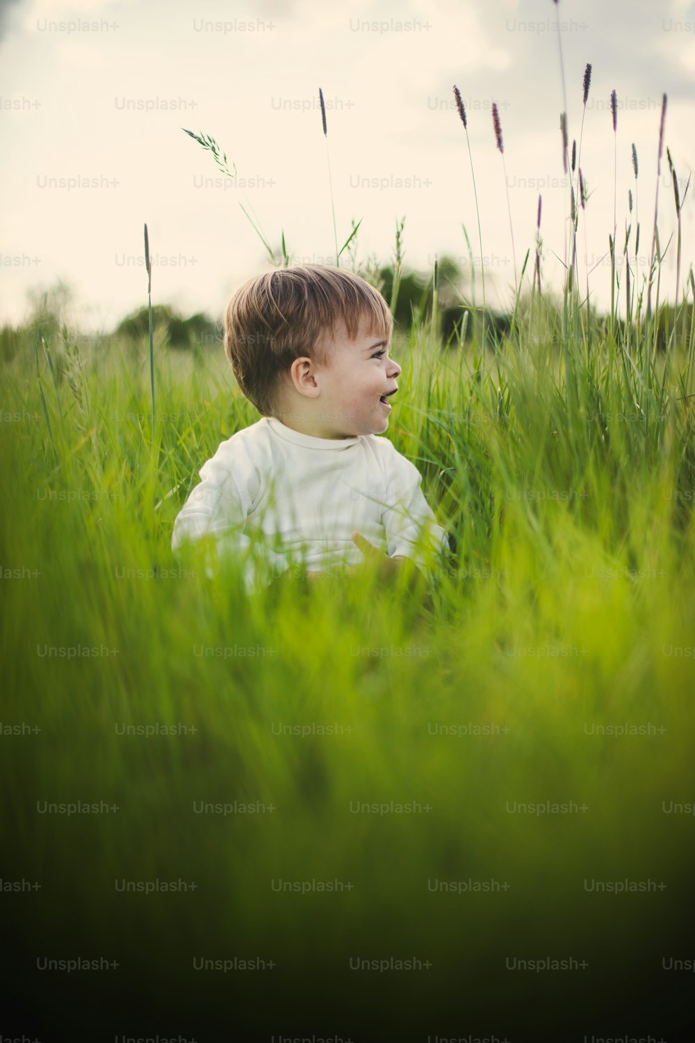 um menino sentado em um campo de grama alta