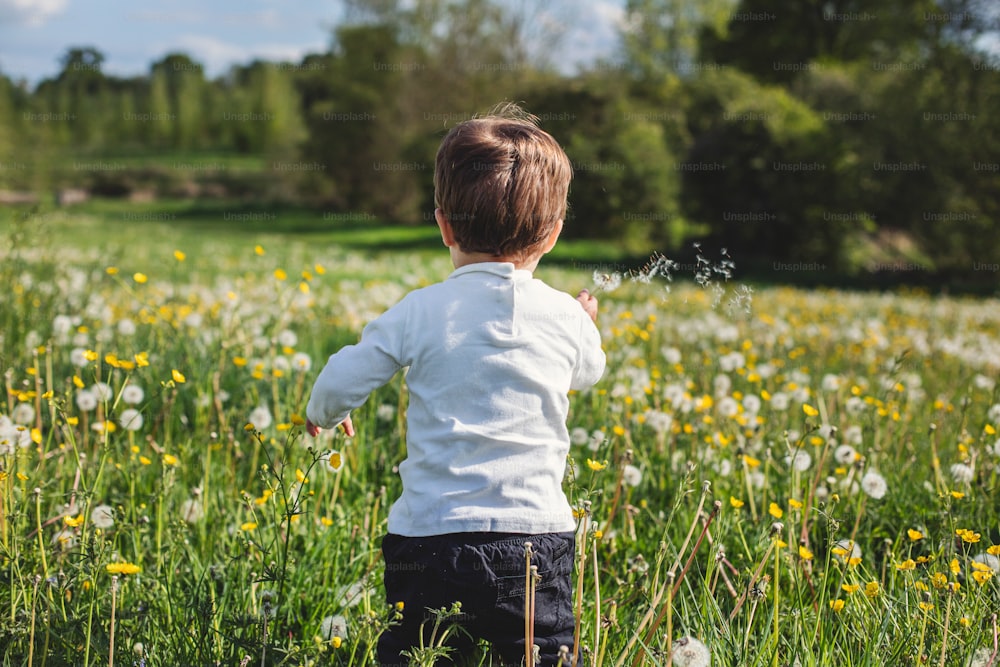 Un ragazzino che sta in piedi nell'erba