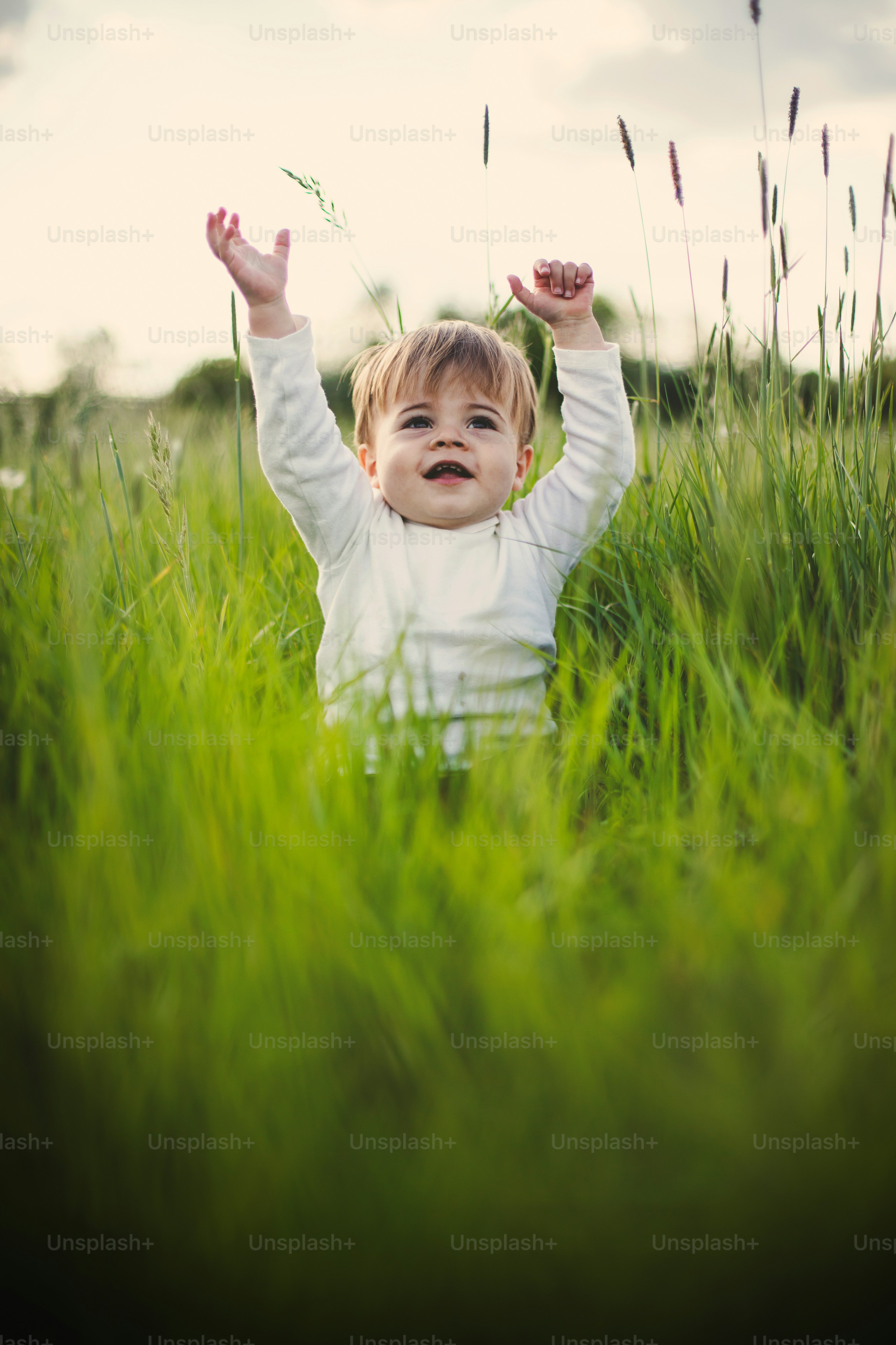 premium_photo-1664355810261-9e365aab951a?ixid=M3wxMjA3fDB8MXxzZWFyY2h8OXx8bGl2ZSUyMGZyZWUlMjBsaXZlfGVufDB8fHx8MTc0MzQ1MDk0NXww\u0026ixlib=rb-4.0.3