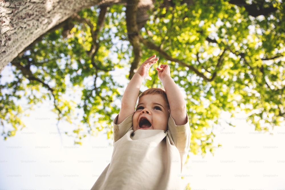 a young child reaching up to a tree