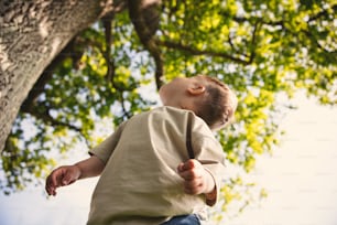a young boy reaching up into a tree