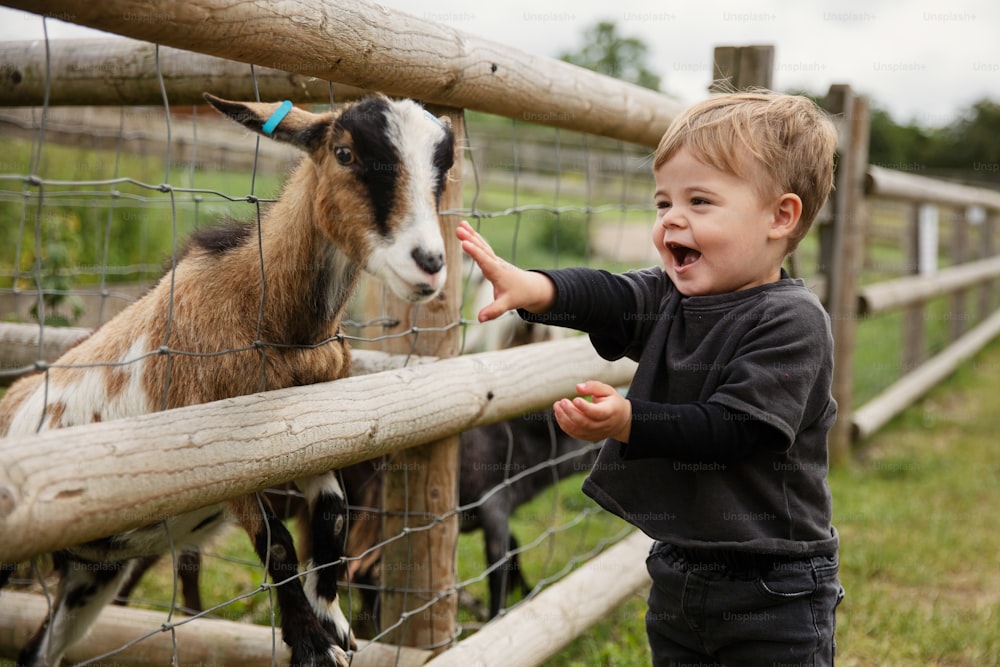 a young boy petting a goat through a fence