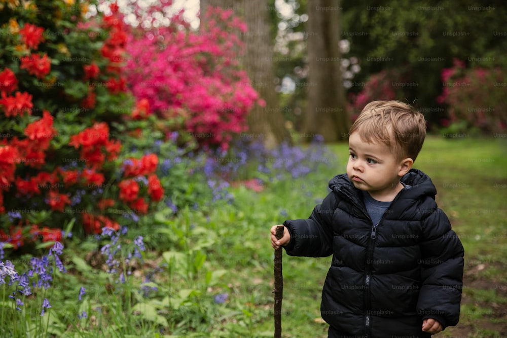 a little boy holding a stick in a field of flowers