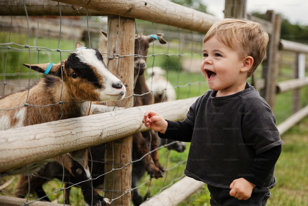 a little boy standing next to a fence with a goat