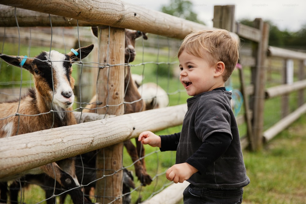 a little boy standing in front of a fence looking at a goat