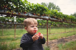 Ein kleiner Junge, der ein Stück Obst in der Hand hält