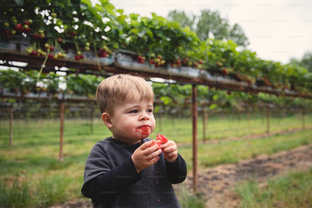 a young boy holding a piece of fruit in his hand