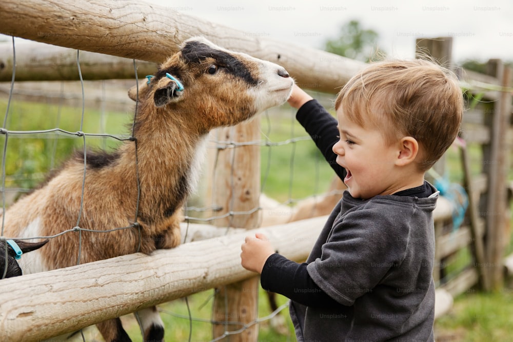 a young boy petting a goat through a fence