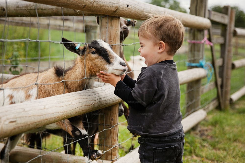 Un giovane ragazzo che accarezza una capra attraverso una recinzione