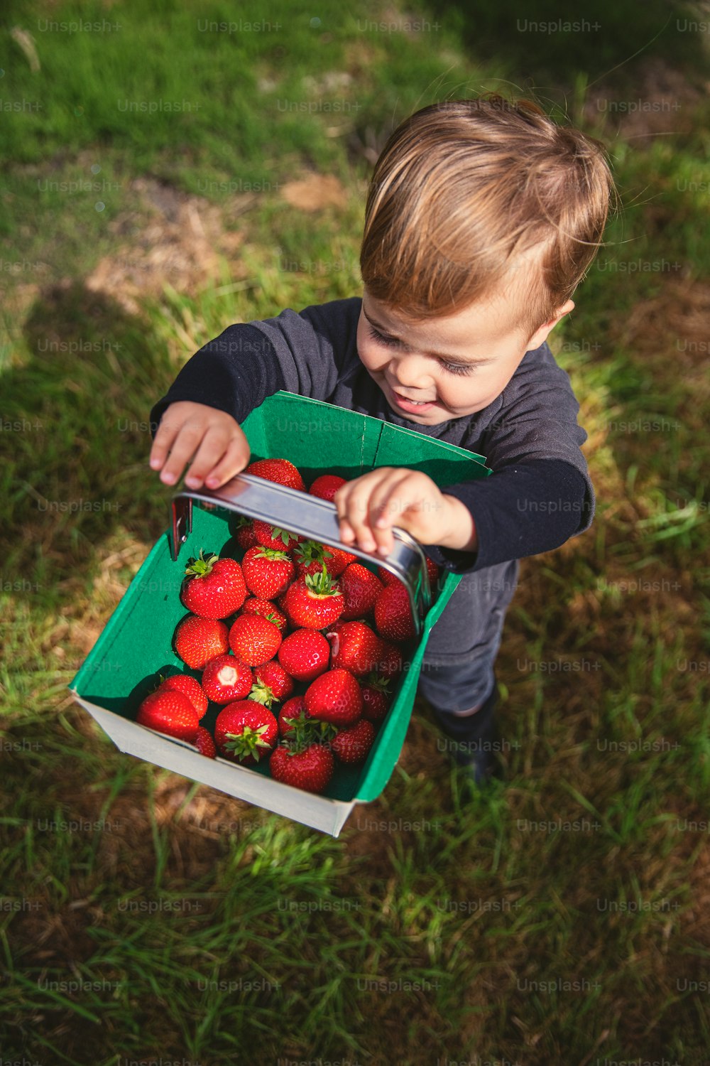 Ein kleiner Junge, der eine Schachtel Erdbeeren hält