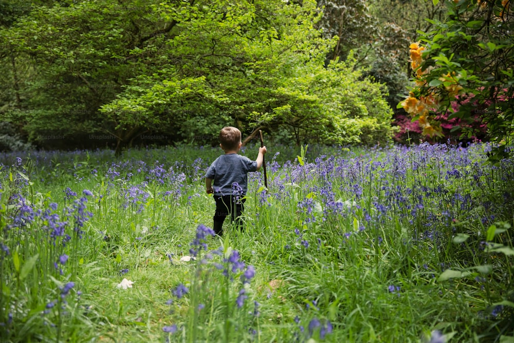 a young boy standing in a field of blue flowers