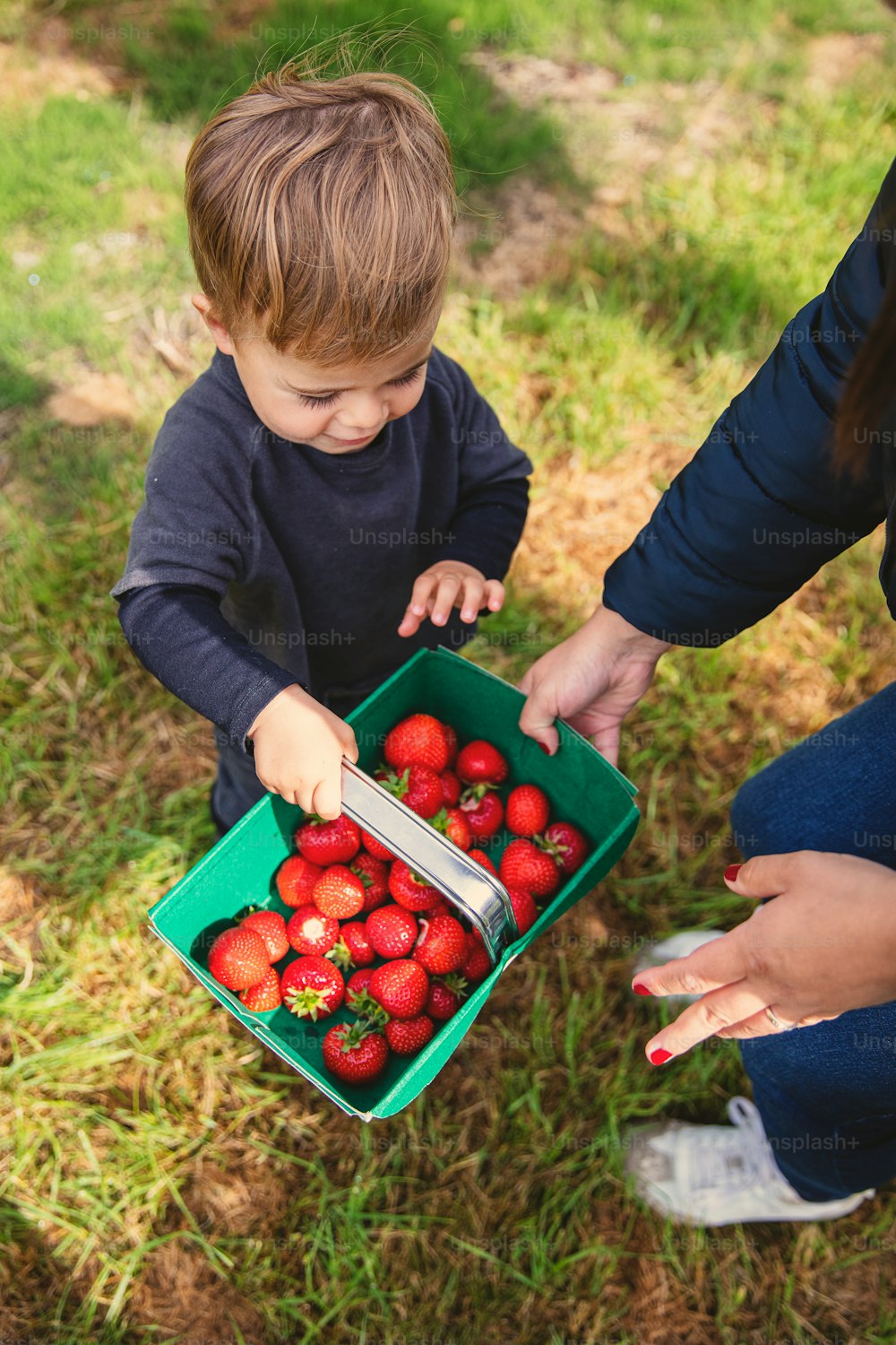 a little boy holding a box of strawberries