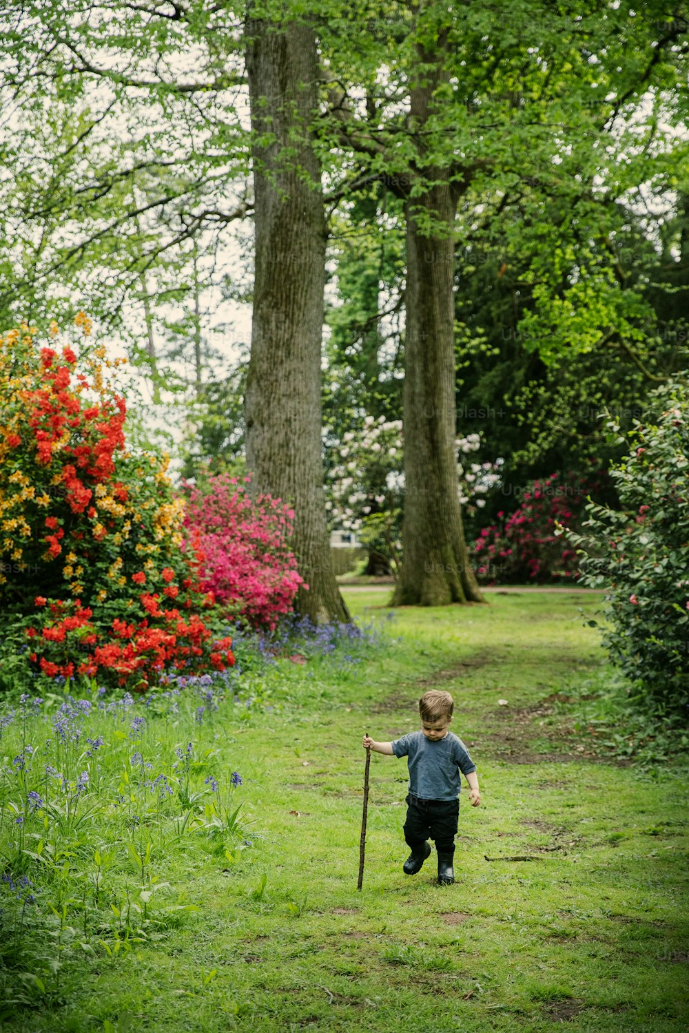 a young boy walking through a lush green park