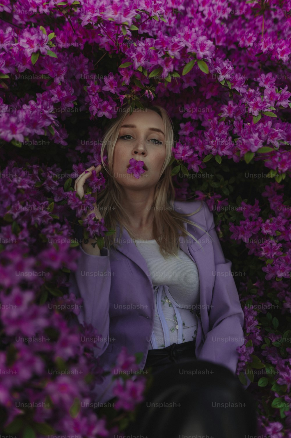 Eine Frau sitzt in einem Busch aus lila Blumen