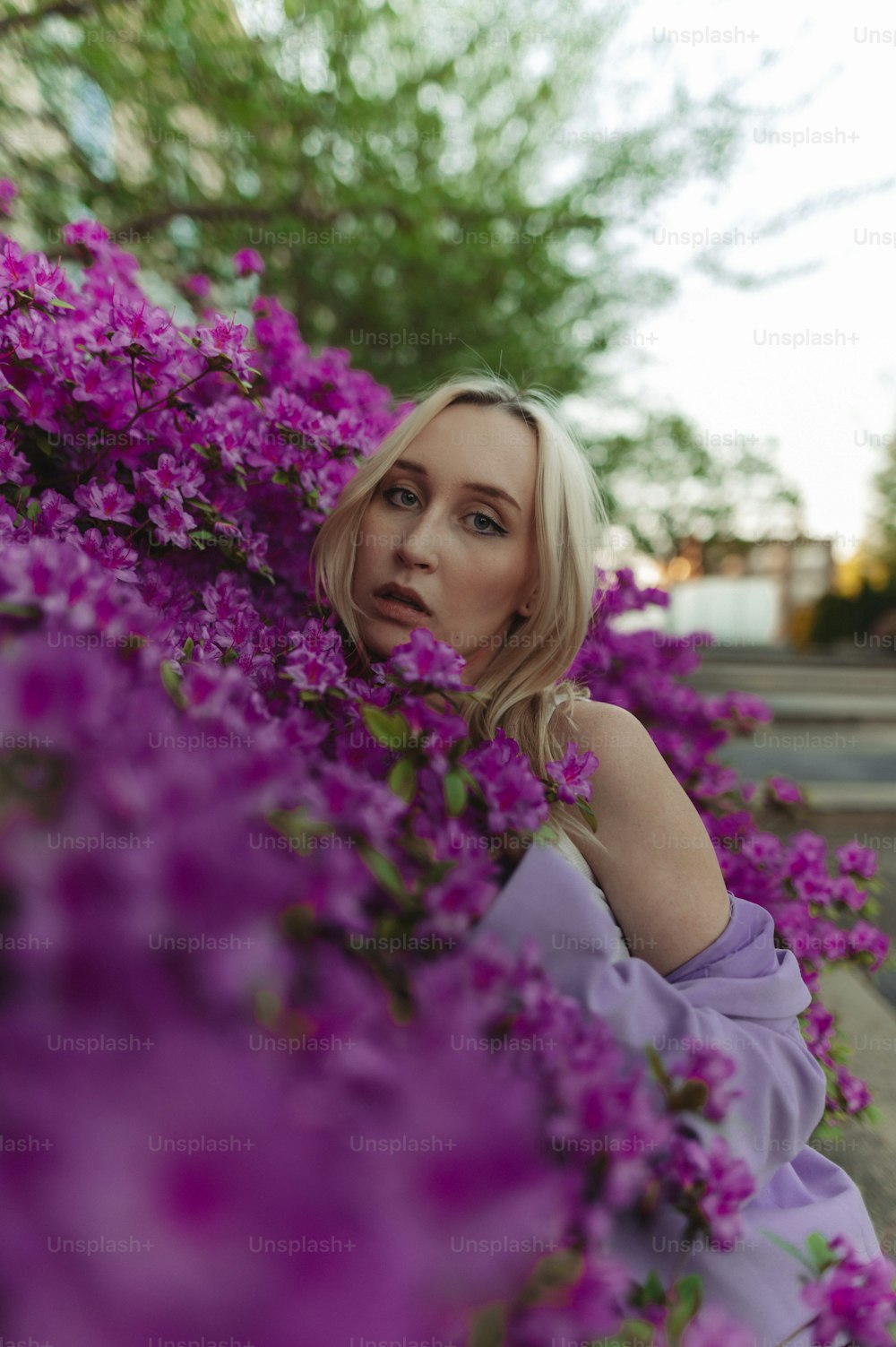 Una mujer sentada en un campo de flores púrpuras