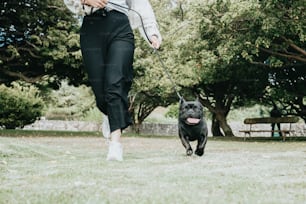 a woman walking a dog in a park