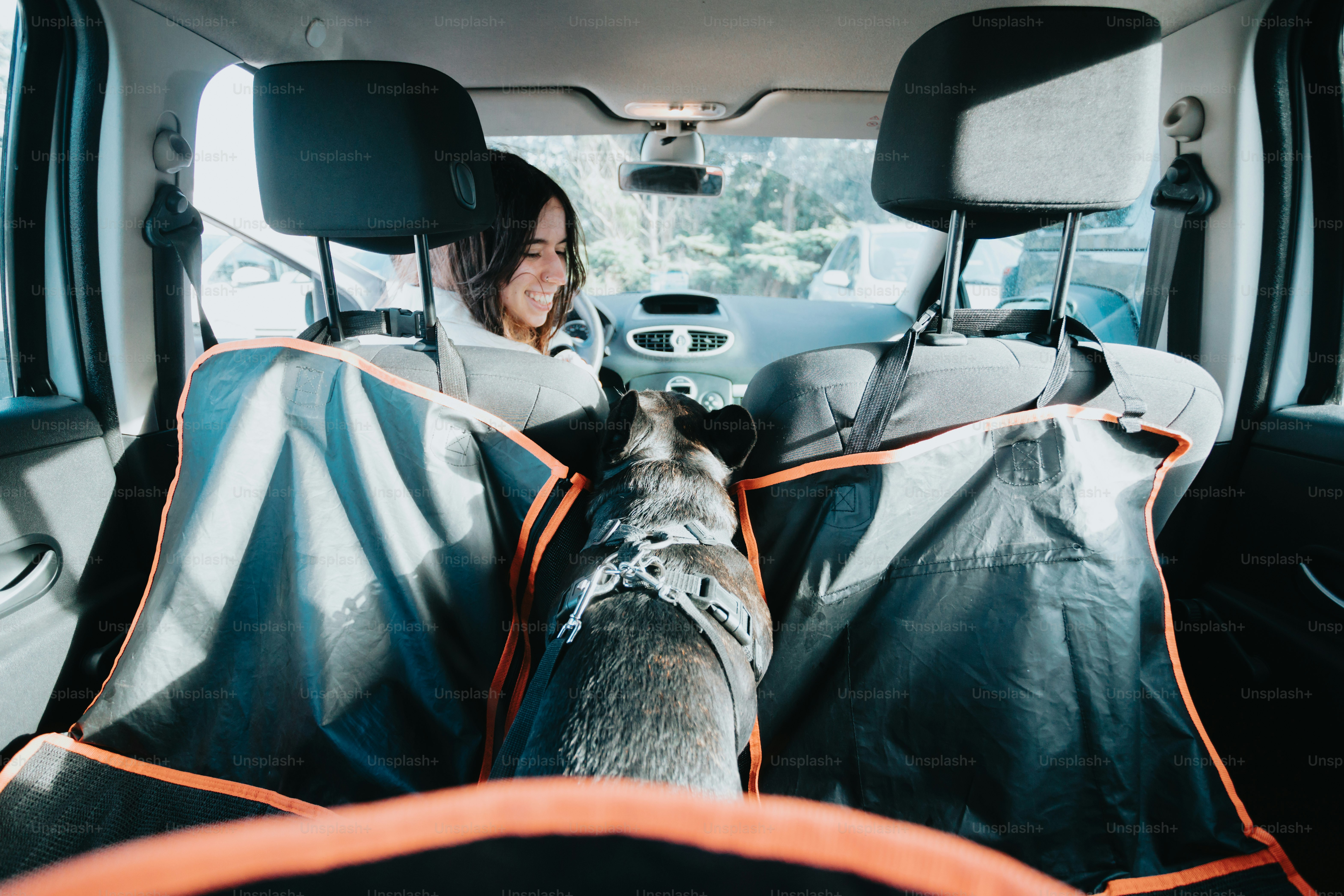 seorang wanita duduk di kursi belakang mobil dengan seekor anjing