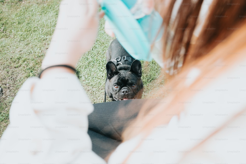 Ein schwarzer Hund, der neben einer Frau auf einem grasbewachsenen Feld steht