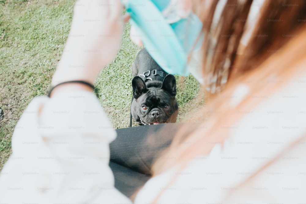 a black dog standing next to a woman on top of a grass covered field