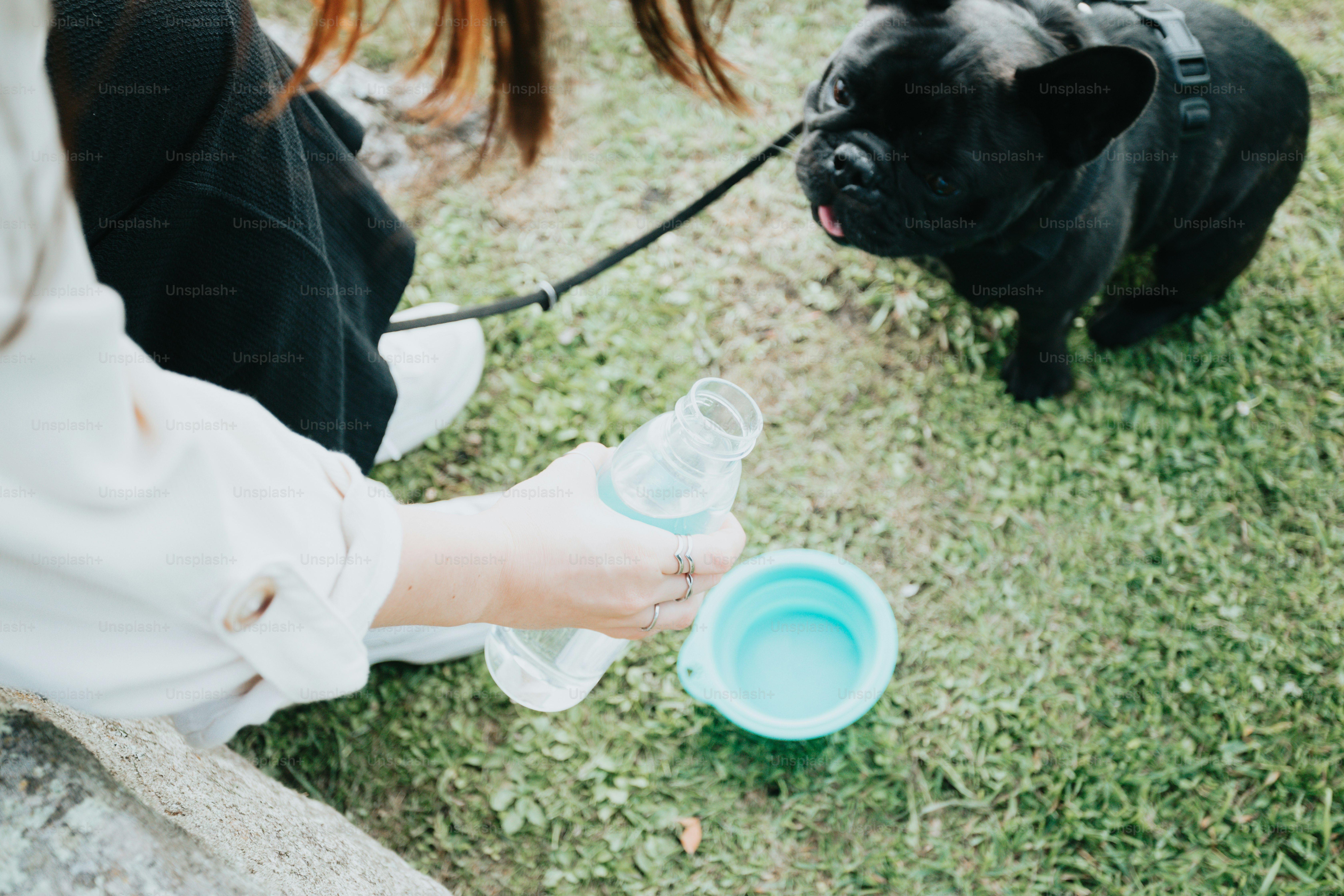 a black dog standing next to a woman holding a water bottle