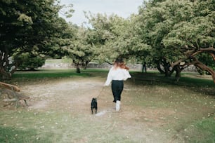 공원에서 개를 산책시키는 여자