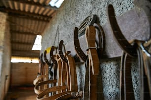 a row of wooden chairs sitting next to a wall