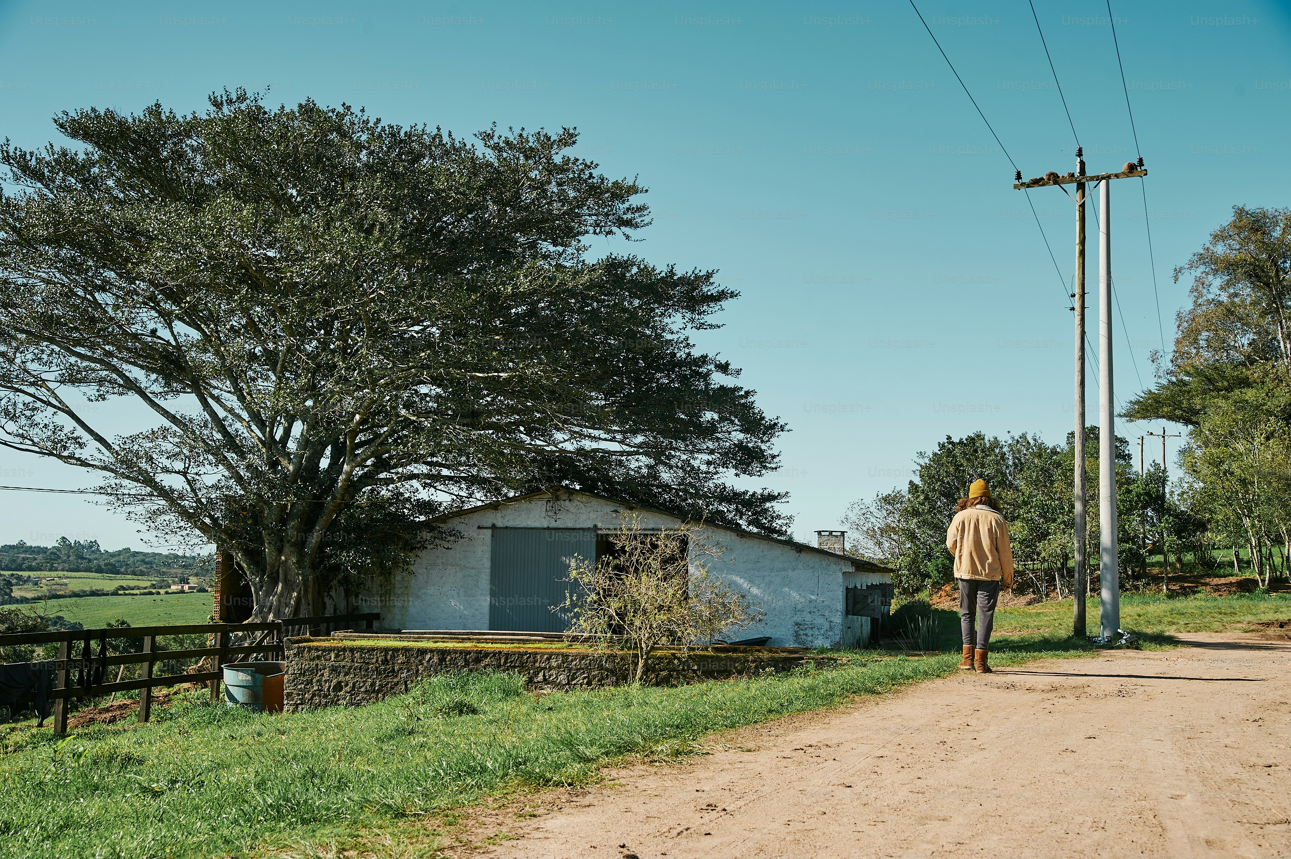 a man walking down a dirt road next to a tree