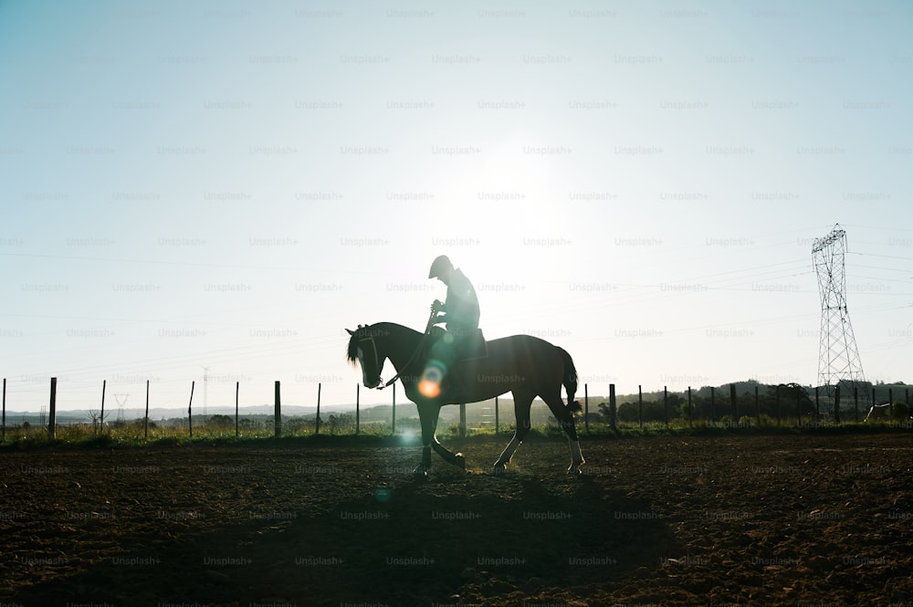 una persona che cavalca sul dorso di un cavallo