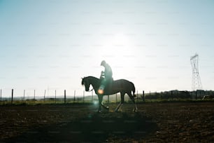 a person riding on the back of a horse