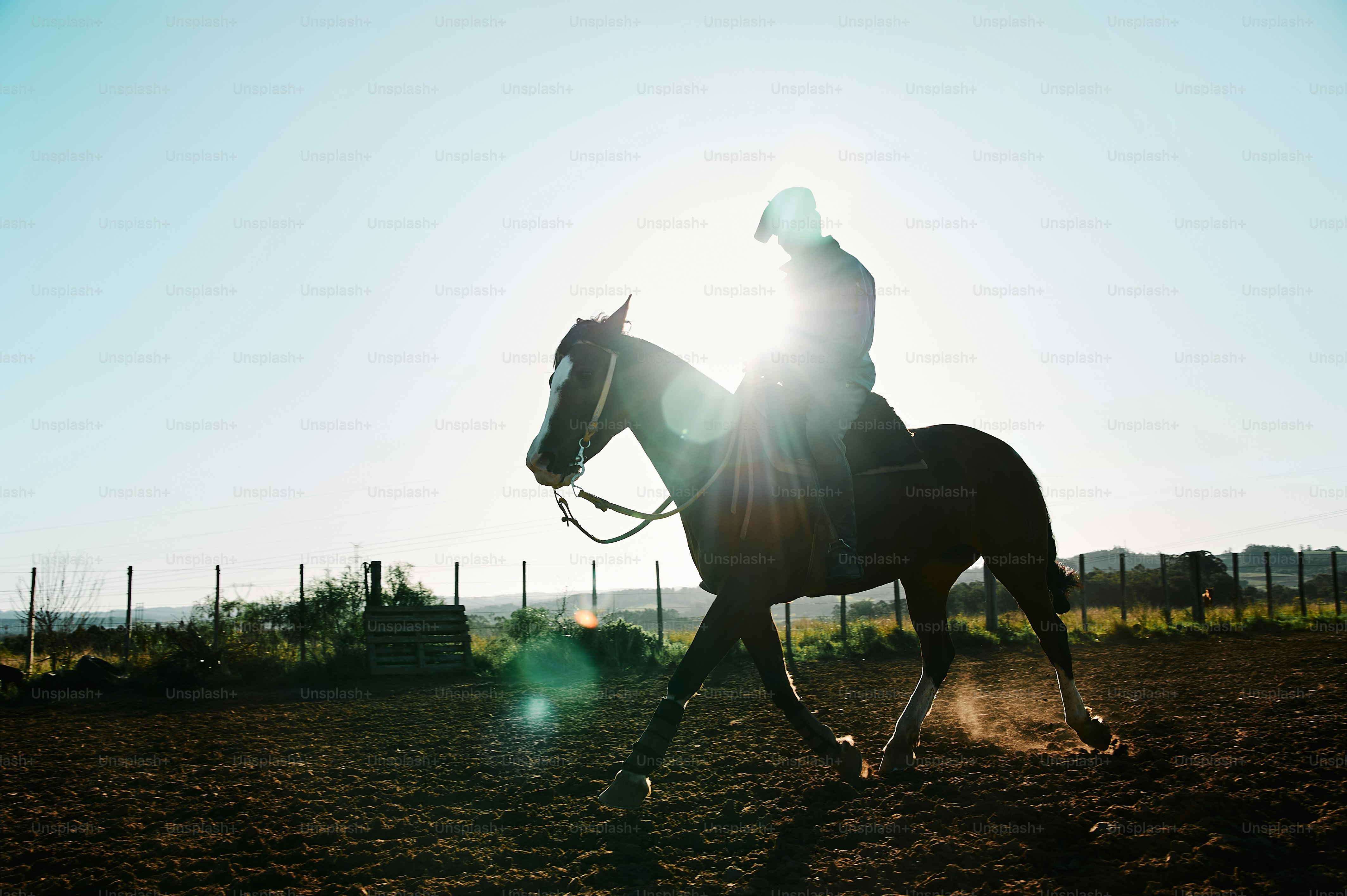 eine Person, die auf dem Rücken eines Pferdes reitet