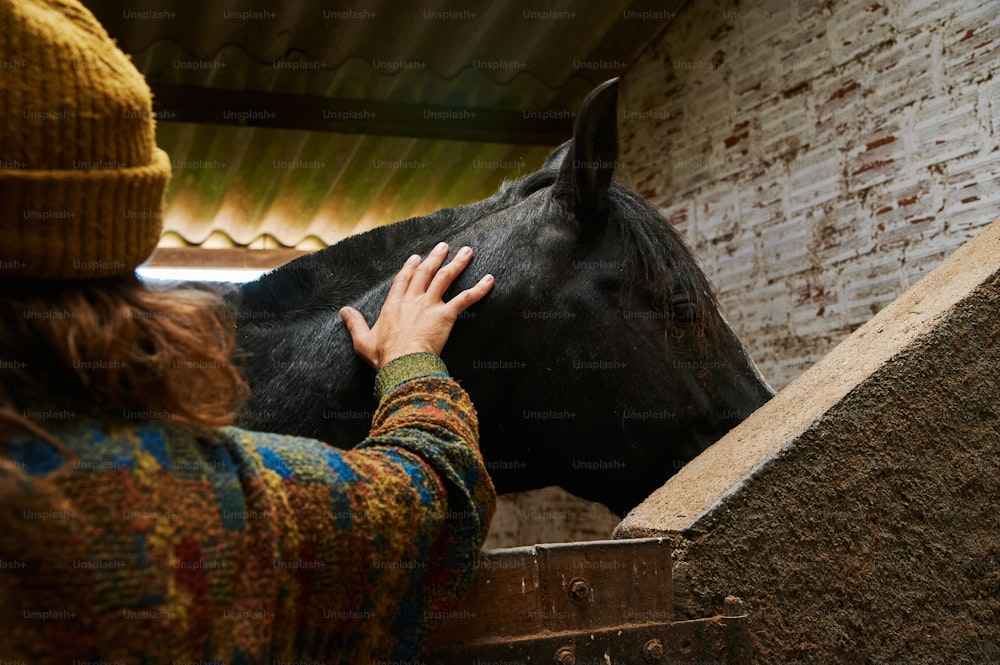 a woman petting a black horse in a stable