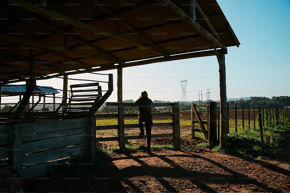 a person standing in a fenced in area