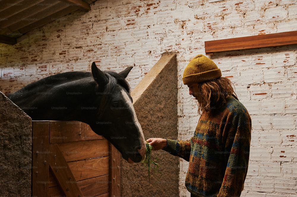 a woman feeding a horse from a trough
