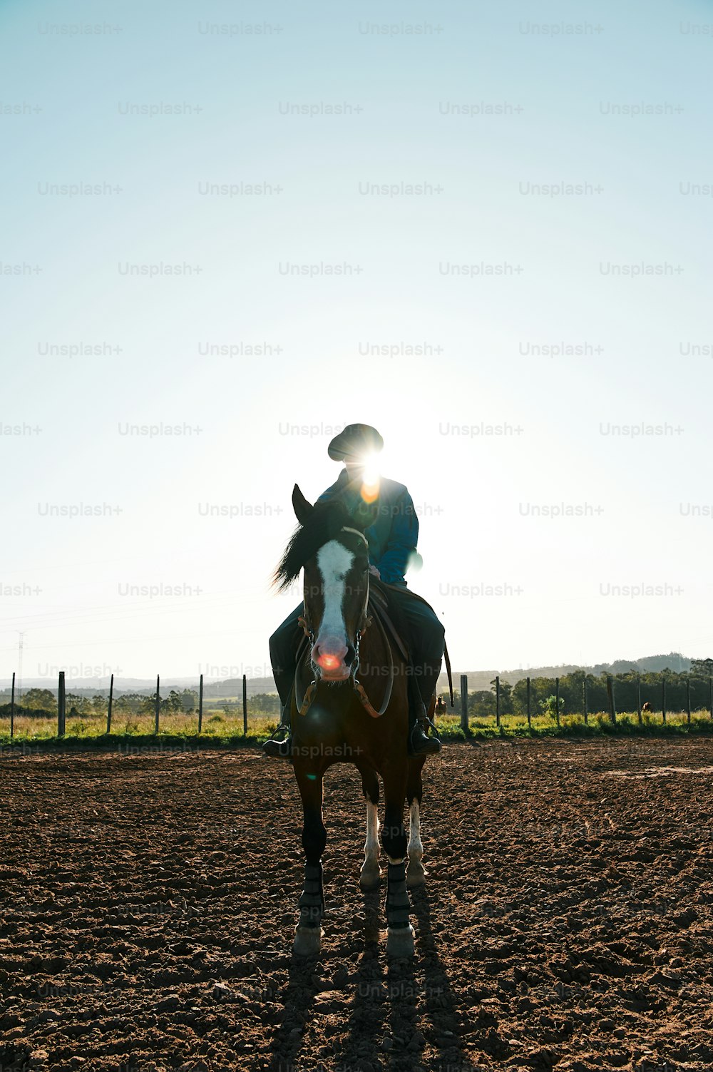 eine Person, die auf einem Pferd auf einem Feldweg reitet