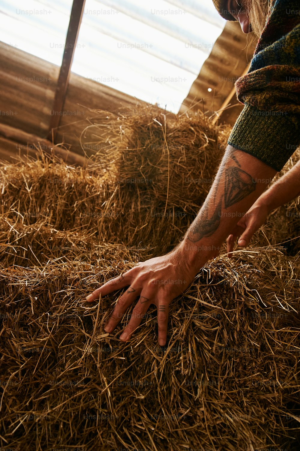 a person reaching for a pile of hay