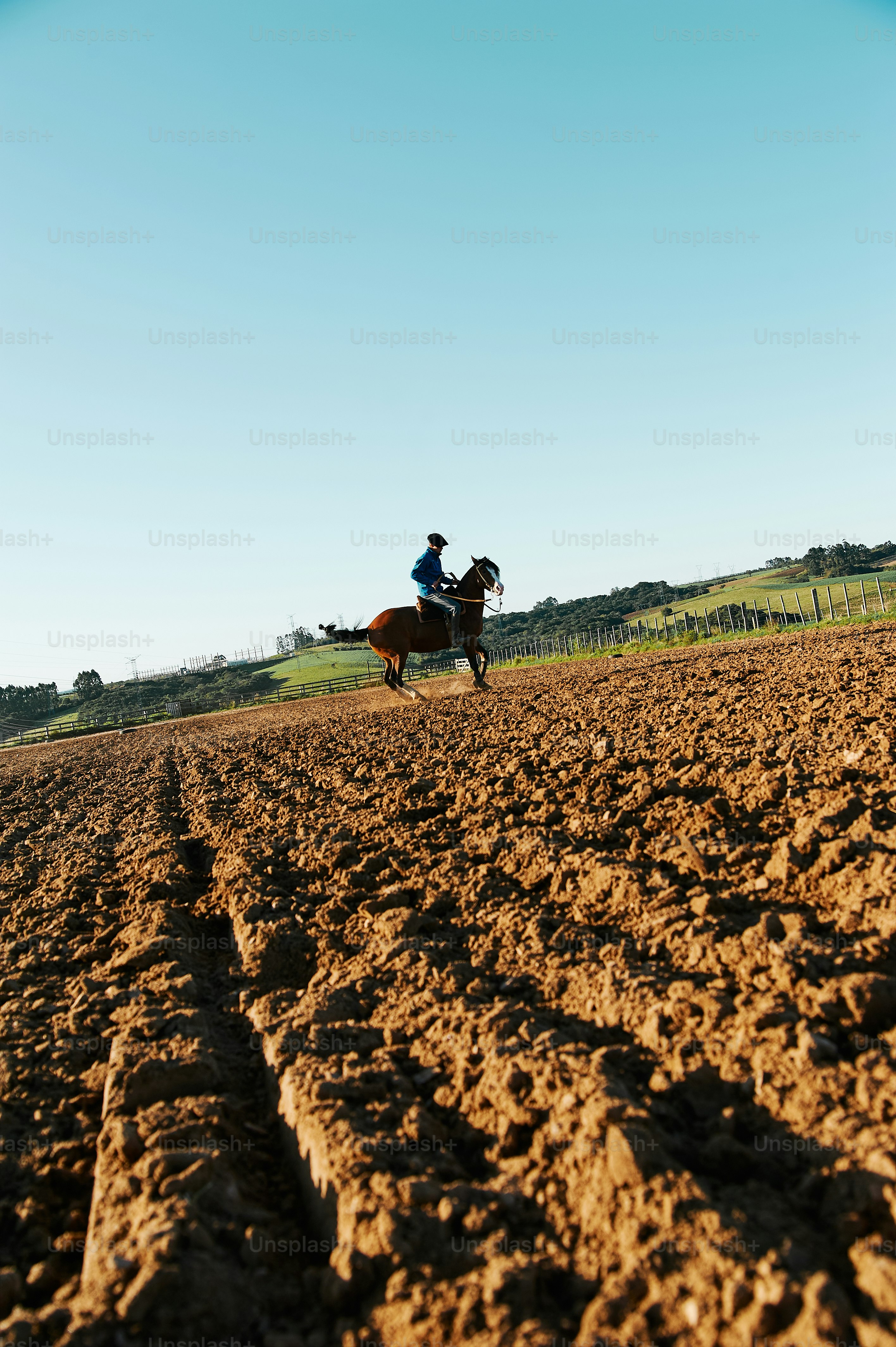未舗装の野原を馬に乗っている男